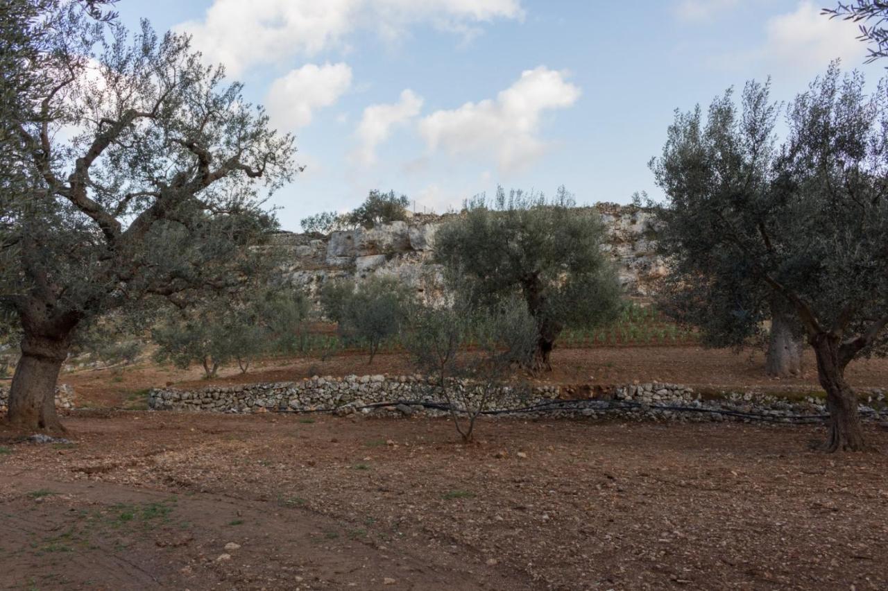 Paolottavia Διαμέρισμα Monopoli Εξωτερικό φωτογραφία