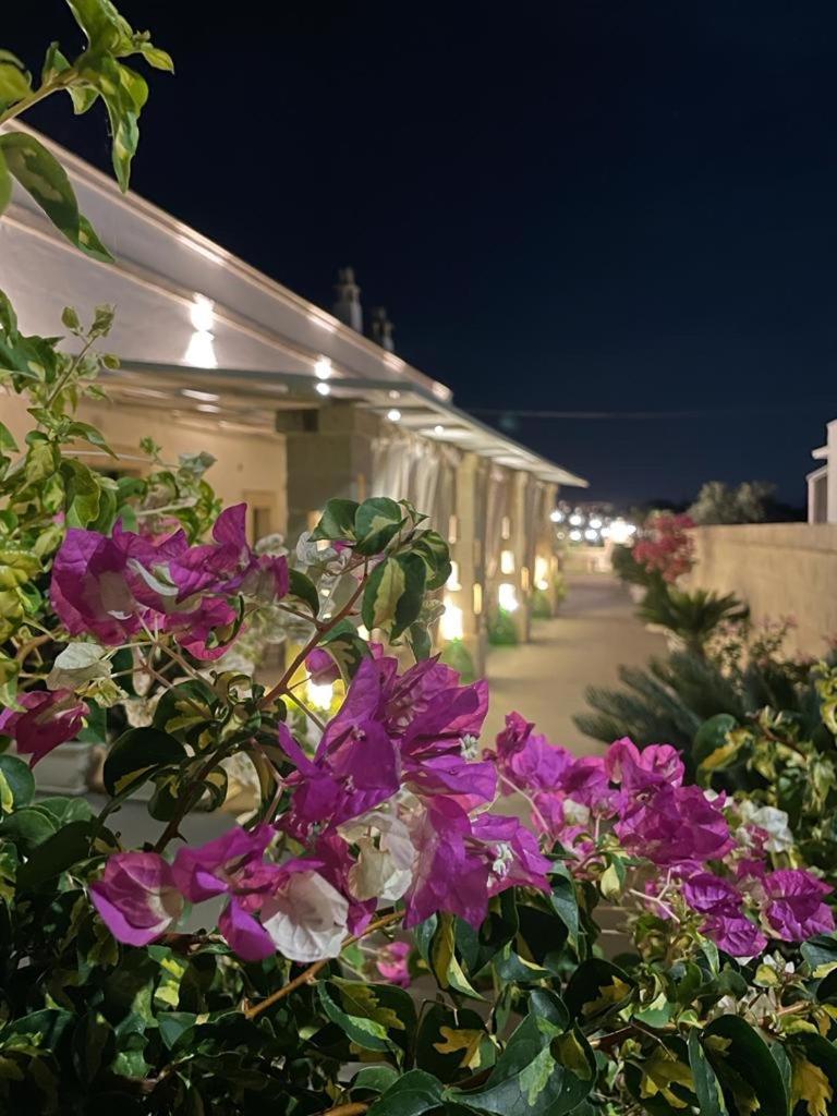 Paolottavia Διαμέρισμα Monopoli Εξωτερικό φωτογραφία